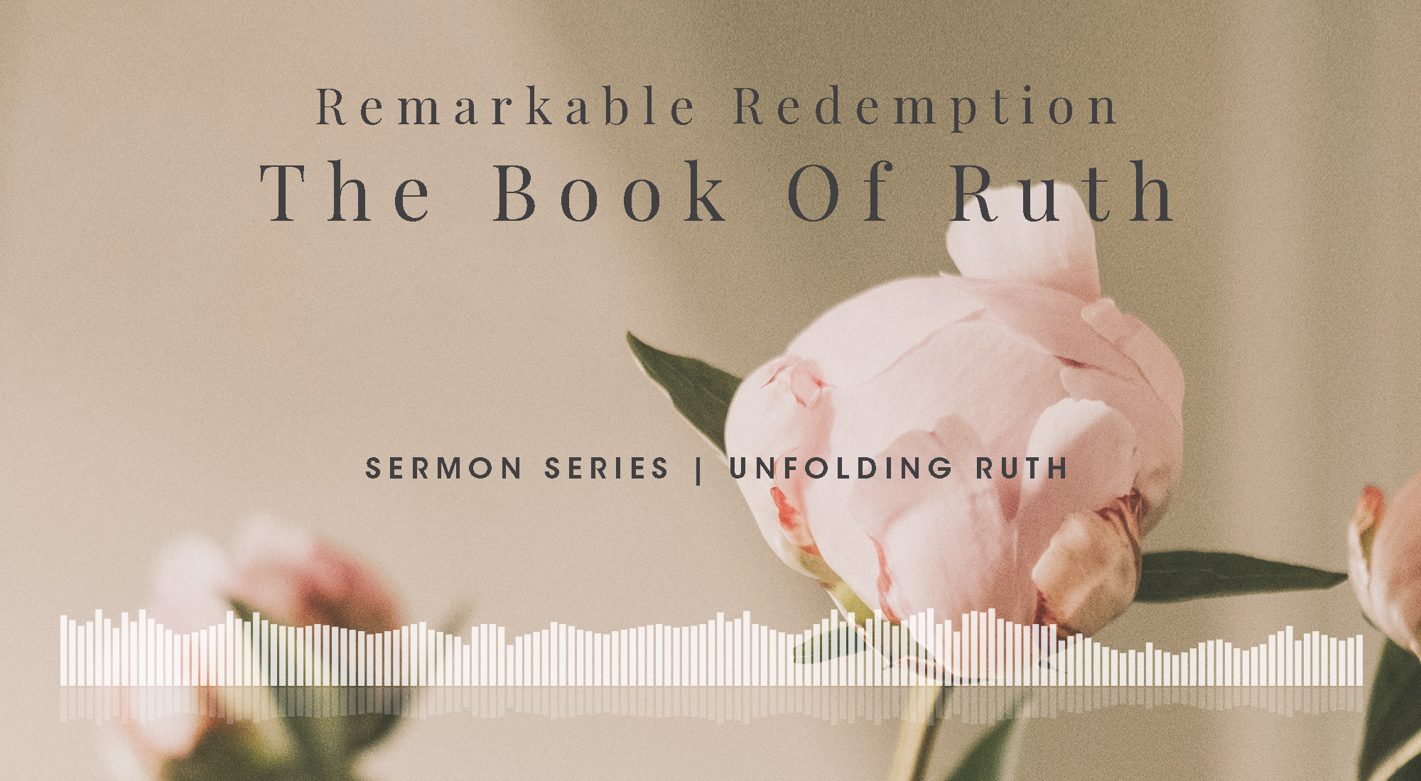 A Sermon Series on Ruth 1-4
